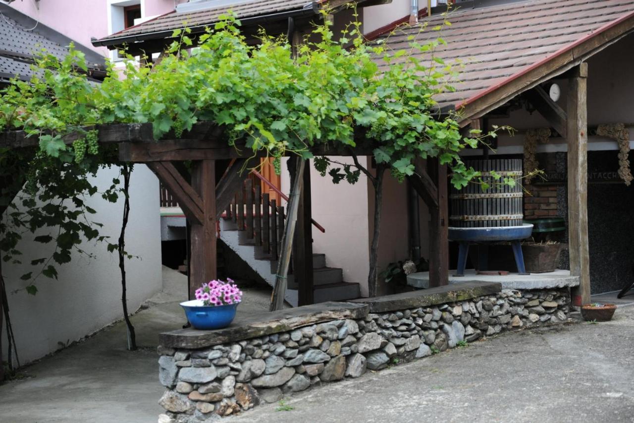 Wellness B&B Winery Sontacchi Kutjevo エクステリア 写真