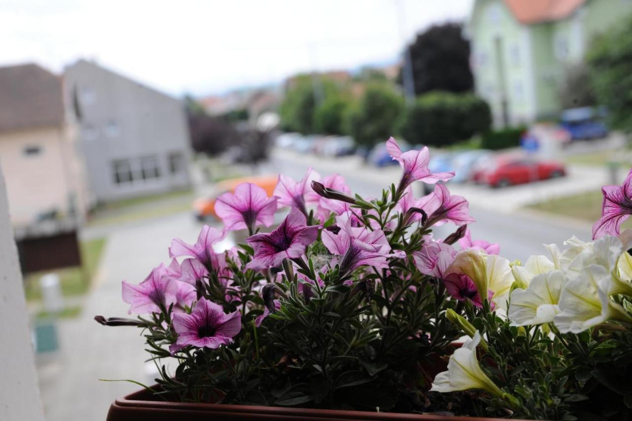 Wellness B&B Winery Sontacchi Kutjevo エクステリア 写真
