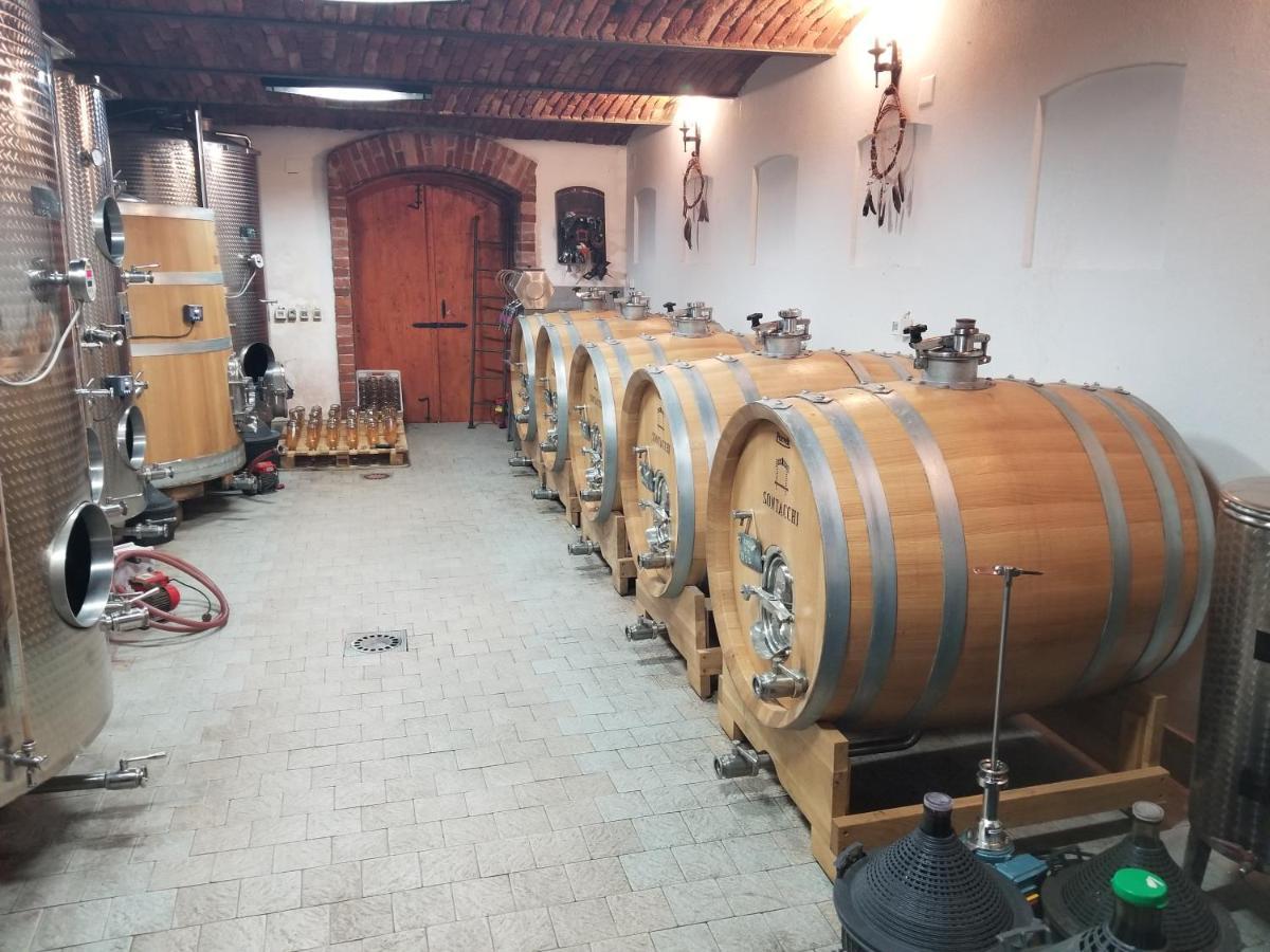 Wellness B&B Winery Sontacchi Kutjevo エクステリア 写真